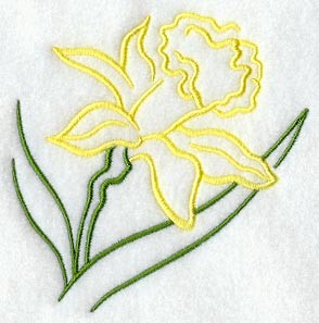 Daffodil