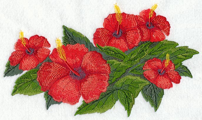 Hibiscus Tropical Flower