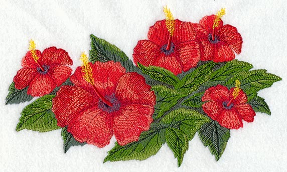 Hibiscus Tropical Flower