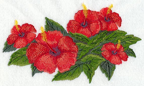 Hibiscus Tropical Flower