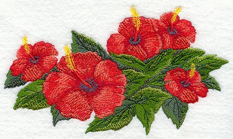 Hibiscus Tropical Flower