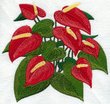 Anthurium Tropical Flower