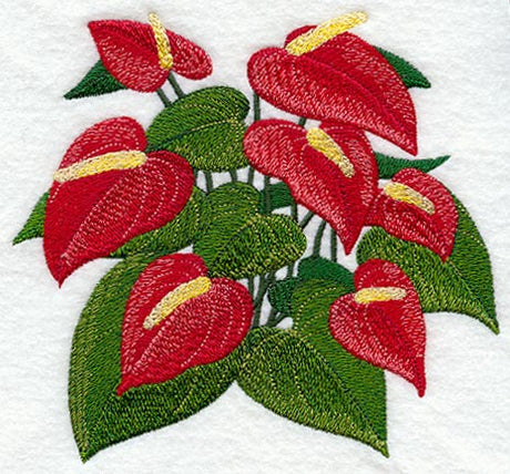 Anthurium Tropical Flower