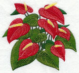 Anthurium Tropical Flower