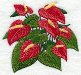 Anthurium Tropical Flower