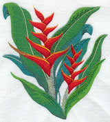 Heliconia Tropical Flower