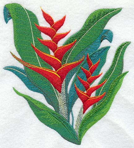 Heliconia Tropical Flower