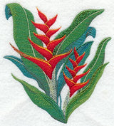 Heliconia Tropical Flower