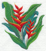 Heliconia Tropical Flower