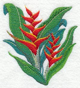 Heliconia Tropical Flower