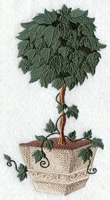 Trailing Ivy Topiary