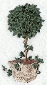 Trailing Ivy Topiary