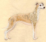 Whippet