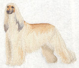Afghan Hound