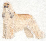Afghan Hound