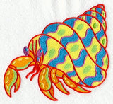 Caribbean Creatures Hermit Crab