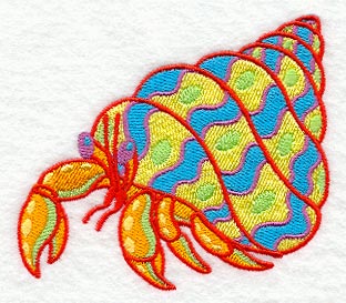 Caribbean Creatures Hermit Crab