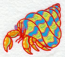 Caribbean Creatures Hermit Crab