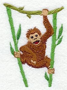 Rainforest Baby - Orangutan