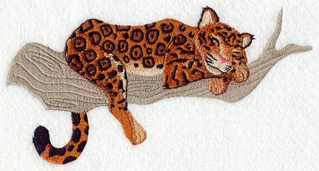 Rainforest Baby - Jaguar