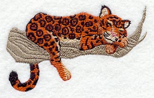 Rainforest Baby - Jaguar