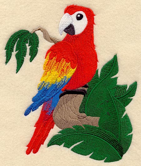Rainforest Baby - Macaw