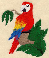 Rainforest Baby - Macaw