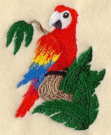 Rainforest Baby - Macaw