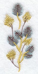 Broad-Leaf Tree
