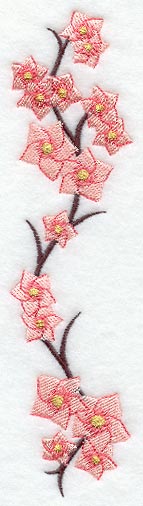 Cherry Blossom Branch