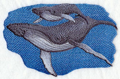 Humpback Whale and Baby