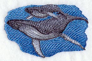 Humpback Whale and Baby