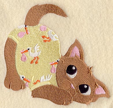 Baby Kitten in Pajamas