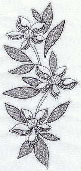 Clematis Spray (Blackwork)