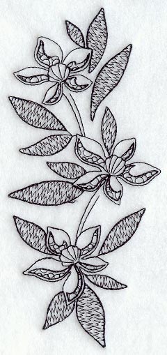 Clematis Spray (Blackwork)
