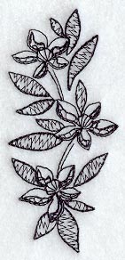 Clematis Spray (Blackwork)