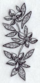 Clematis Spray (Blackwork)
