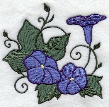 Whimsical Wild Morning Glory