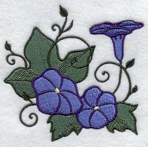 Whimsical Wild Morning Glory