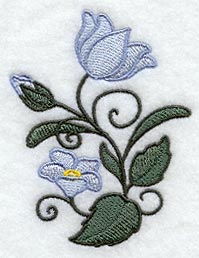 Whimsical Wild Bellflowers