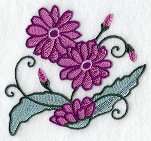 Whimsical Wild Aster