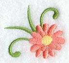 Heirloom Daisy Corner