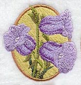 Canterbury Bells Oval