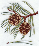 Norway Pine Leaf