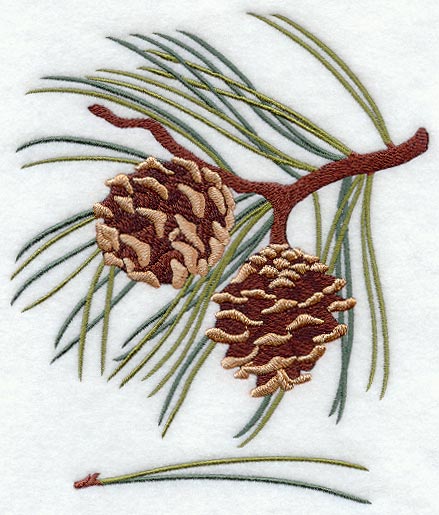 Norway Pine Leaf