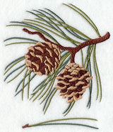 Norway Pine Leaf