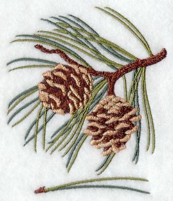 Norway Pine Leaf