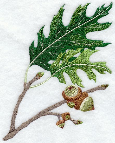 Red Oak Leaf