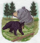 Spirit of the Bear