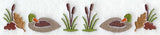 Mallard and Cattails Border